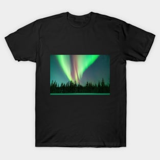 Electric Skies - Aurora Borealis Over a Black Spruce Forest in Alaska T-Shirt